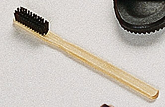 Hovedbilde Blisterbørste