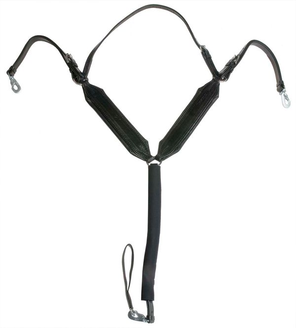 Hovedbilde Bredt Y brøste ponni