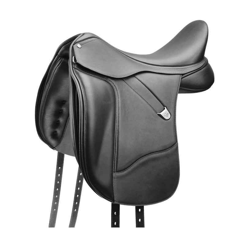 Bates Dressage +
