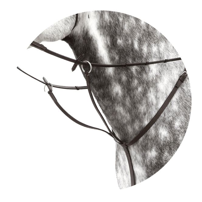 Hovedbilde MARTINGAL