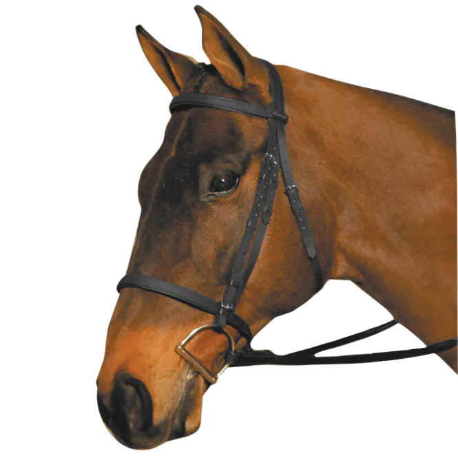 Hovedbilde Wintec Hodelag